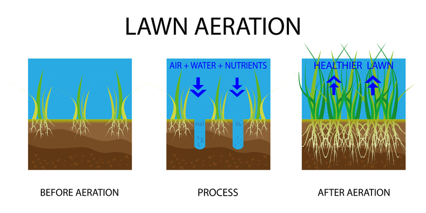 process of aeration